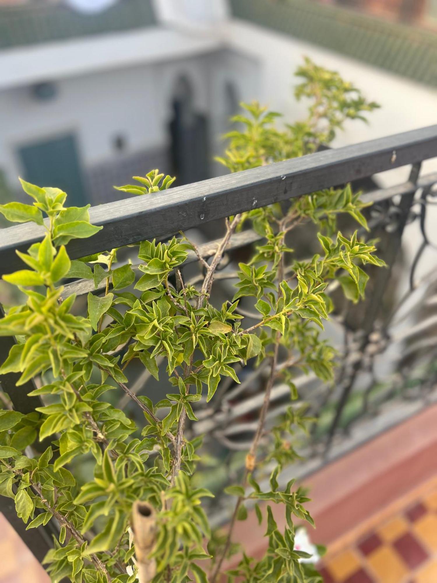 Guest house Be Twenty *